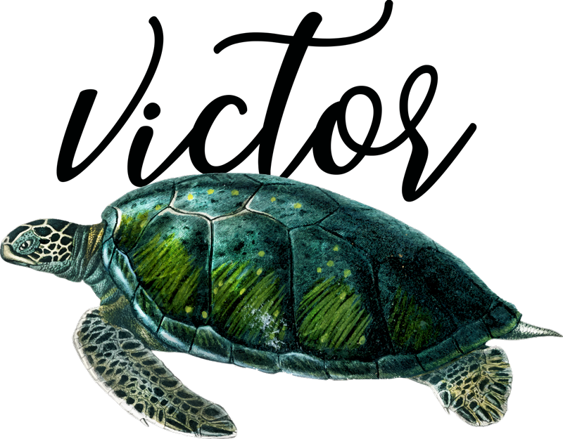 Alfombra vinílica animales diseño de tortuga personalizable - TenVinilo