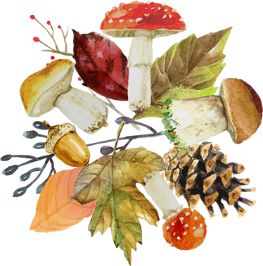 Alfombra vinílica flores elementos de otoño - TenVinilo