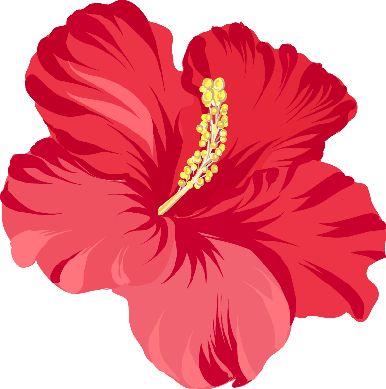 Alfombra vinílica flores kit de flores hibisco - TenVinilo