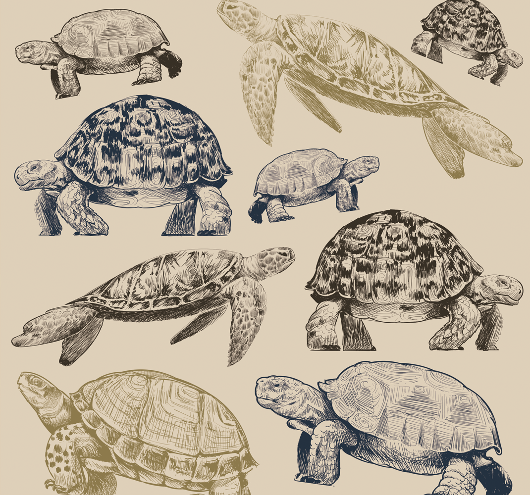 Alfombra vinílica dormitorio fondo beige tortugas - TenVinilo