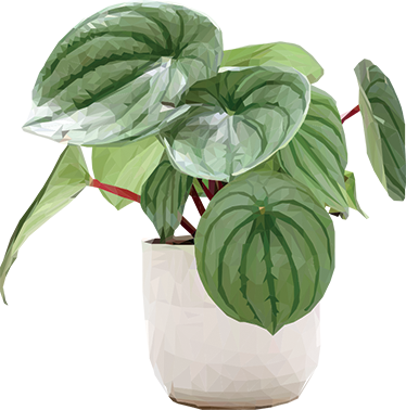 Alfombra vinílica flores planta de hogar sencilla - TenVinilo