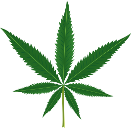 Alfombra vinílica flores hoja de marihuana - TenVinilo