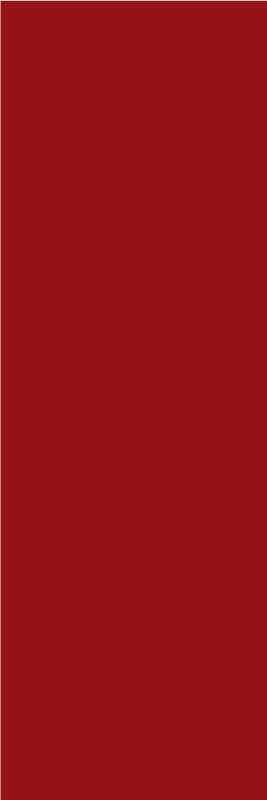 Alfombra vinílica roja para tu hogar en color rojo - TenVinilo