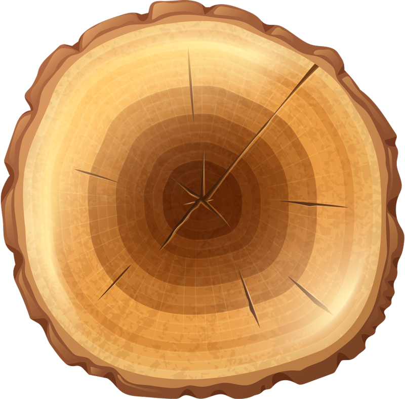 Alfombra vinílica madera árbol redonda - TenVinilo