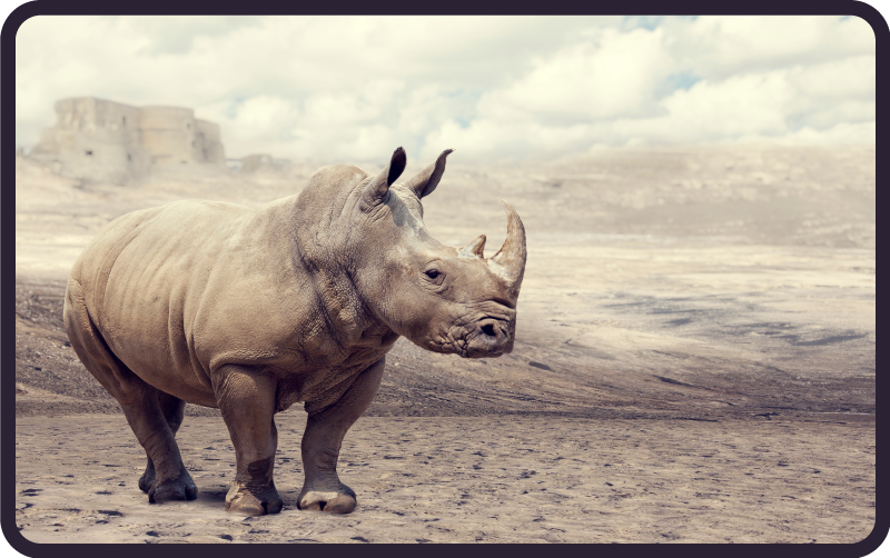 Alfombra vinílica animales majestuosa escena de rinocerontes - TenVinilo