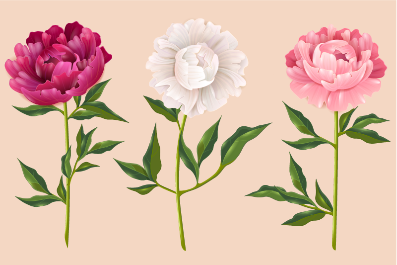 Alfombra vinílica baño elegante arreglo de trío - TenVinilo