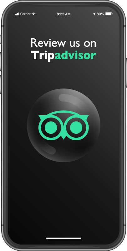 Alfombra vinílica rebajas califícanos en tripadvisor - TenVinilo