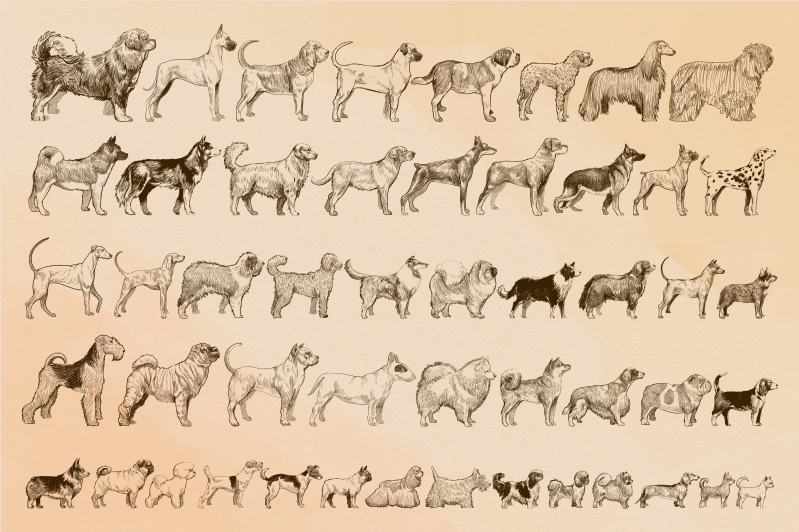 Aflombra vinílica animales Tamaños de perro - TenVinilo