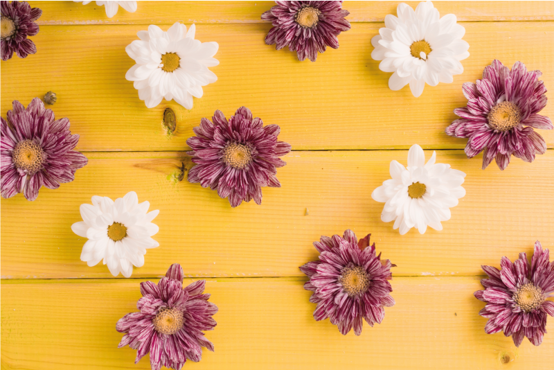 Alfombra vinílica madera con margaritas - TenVinilo