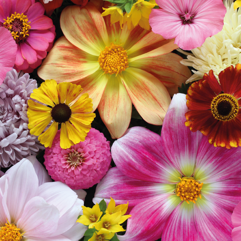 Alfombra vinílica flores hermoso arreglo realista - TenVinilo