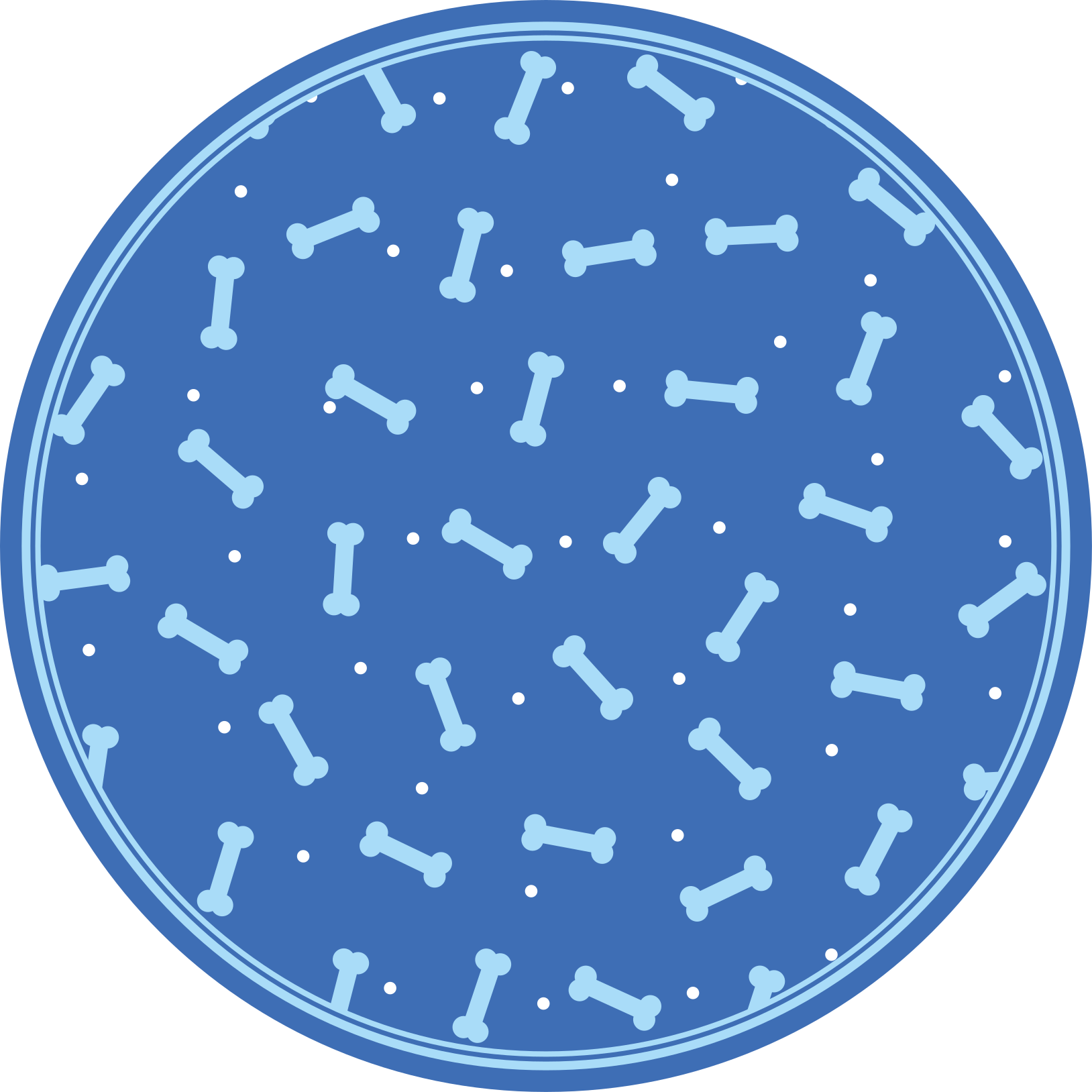 Aflombra vinílica animales Increíble fondo azul huesos sin costur - TenVinilo