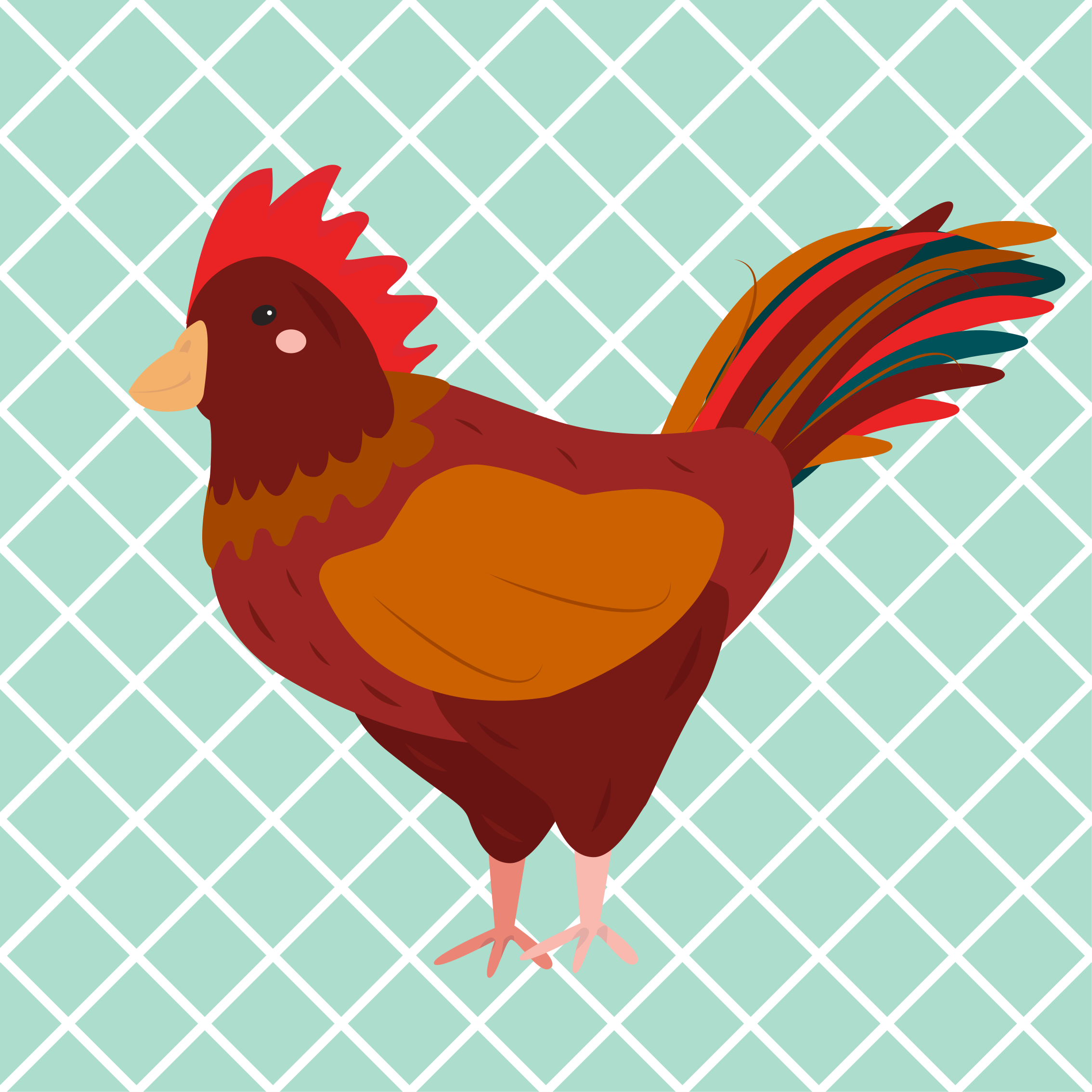 Aflombra vinílica animales Gallo rojo vista lateral - TenVinilo