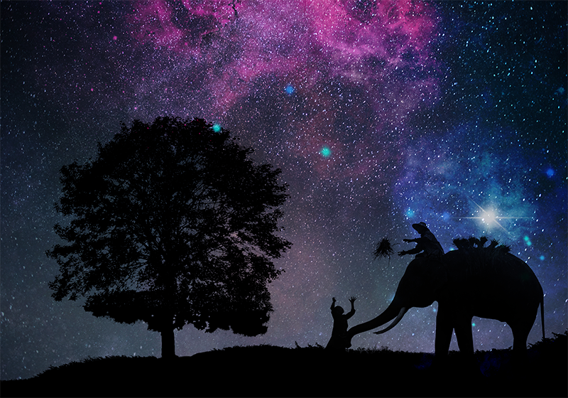 Alfombra vinílica animales aventura cósmica del elefante - TenVinilo