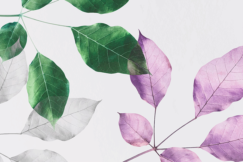 Alfombra vinílica flores estampados botánicos de hojas - TenVinilo