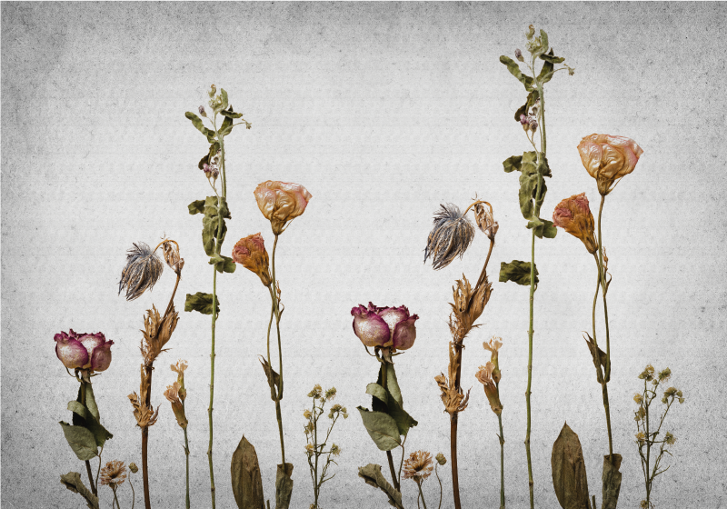 Alfombra vinílica flores imaginería botánica - TenVinilo